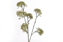Kunstblume Holunder H63cm grün