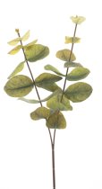 Kunstblume Eukalyptus Zweig